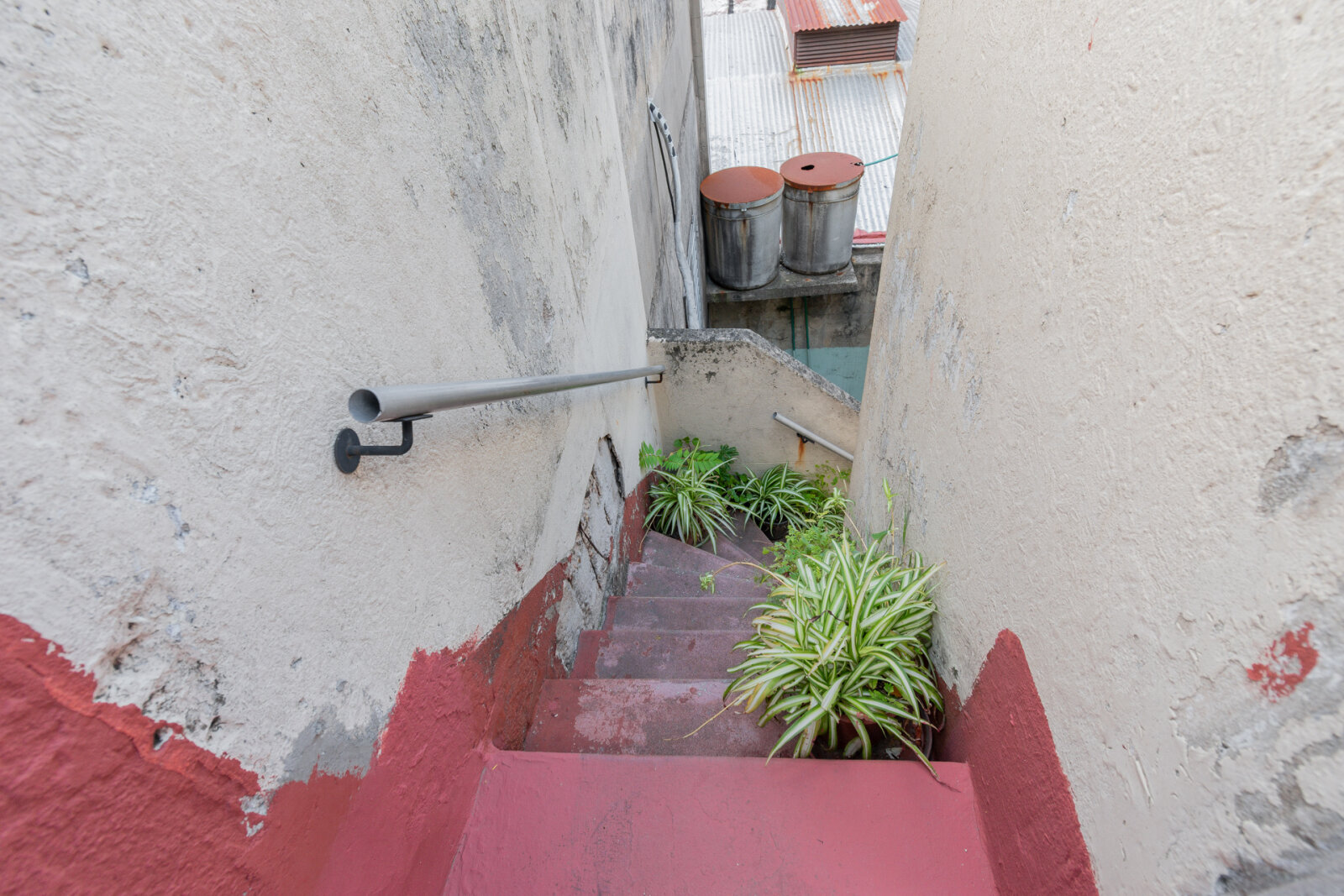 image 29