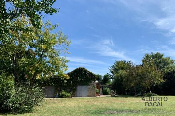 image 37