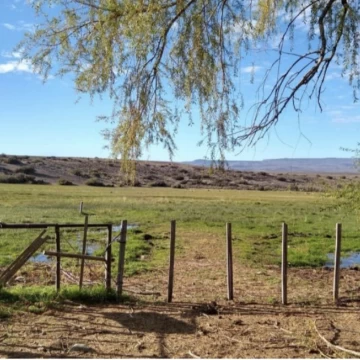 VENTA DE CAMPO, 19000 HA, PERITO MORENO