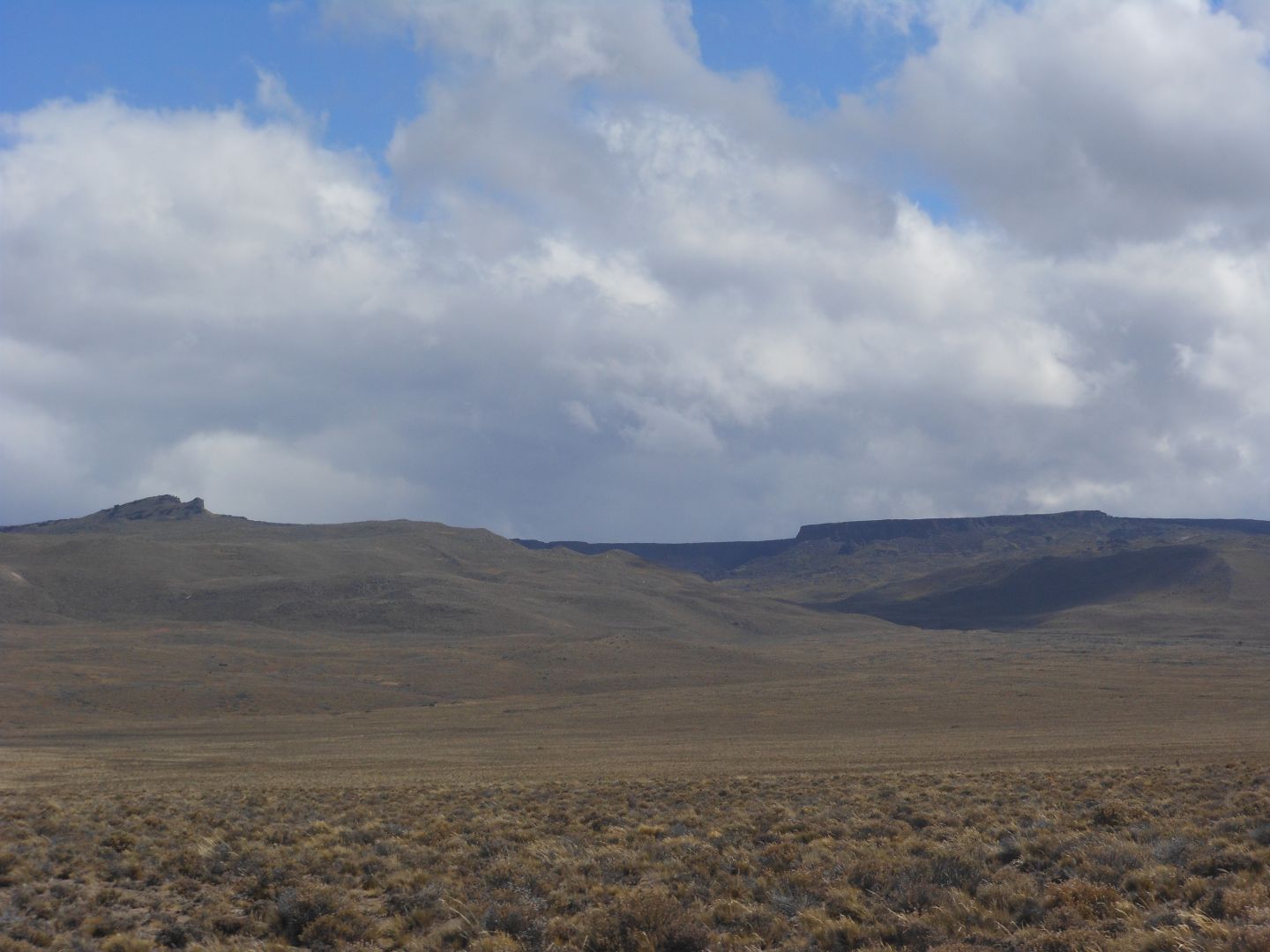 image 37