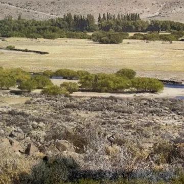 Espectacular Campo loteado en Facundo - Rio Senguer 5000 Has