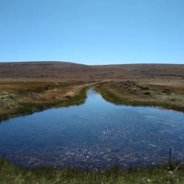 VENTA CAMPO 22.800 HA EN PERITO MORENO, SANTA CRUZ