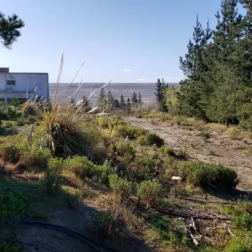 VENTA CASA QUINTA 4 Ha en ZONA DE CHACRAS