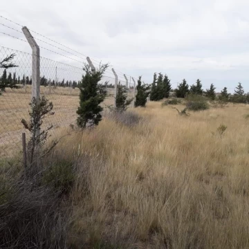 OPORTUNIDAD! LOTE EN VENTA EN MAPÚ GNEFÚ, PUERTO MADRYN