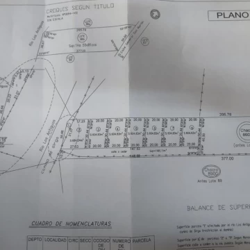 VENTA LOTE EN LOS ANTIGUOS, 604 M2