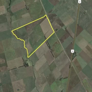 VENTA CAMPO 339HA EN TRES ARROYOS, BUENOS AIRES