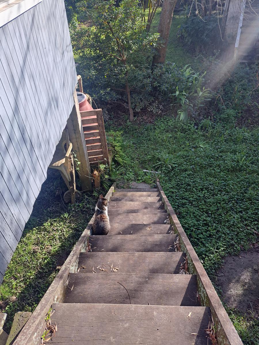 image 23