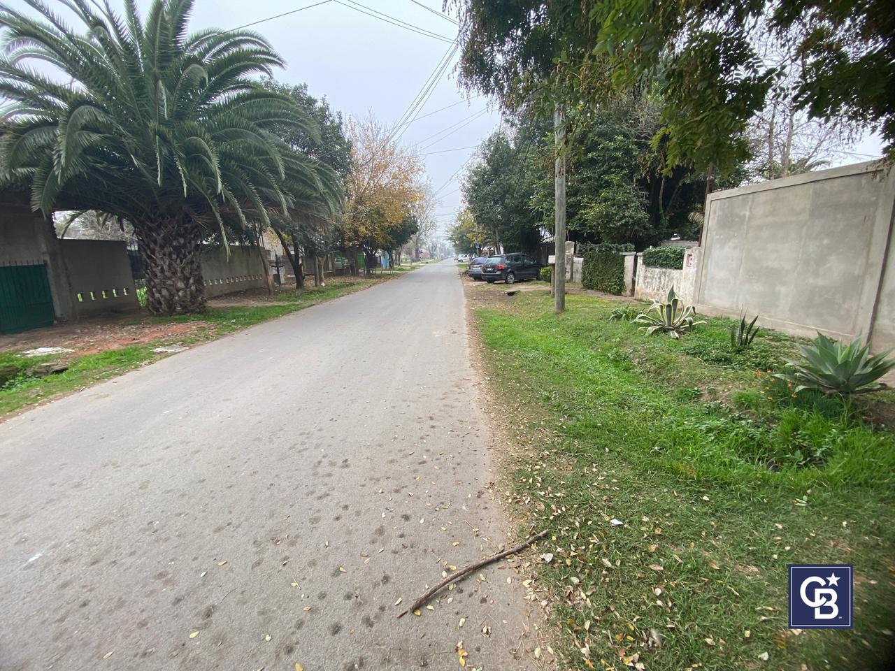 image 14