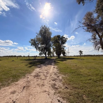 Campo ganadero en venta o alquiler zona san cristobal permutas