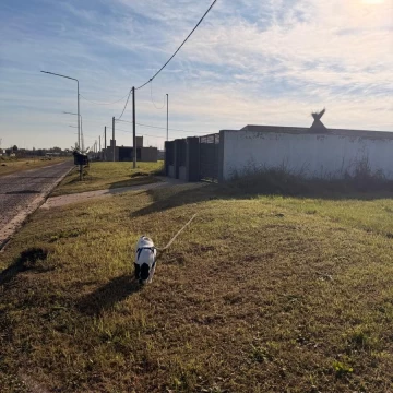 Terreno en Pueblo Esther