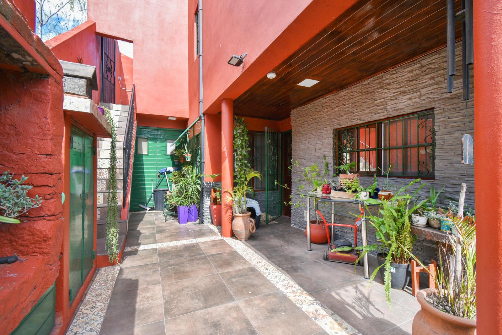 jardin trasero