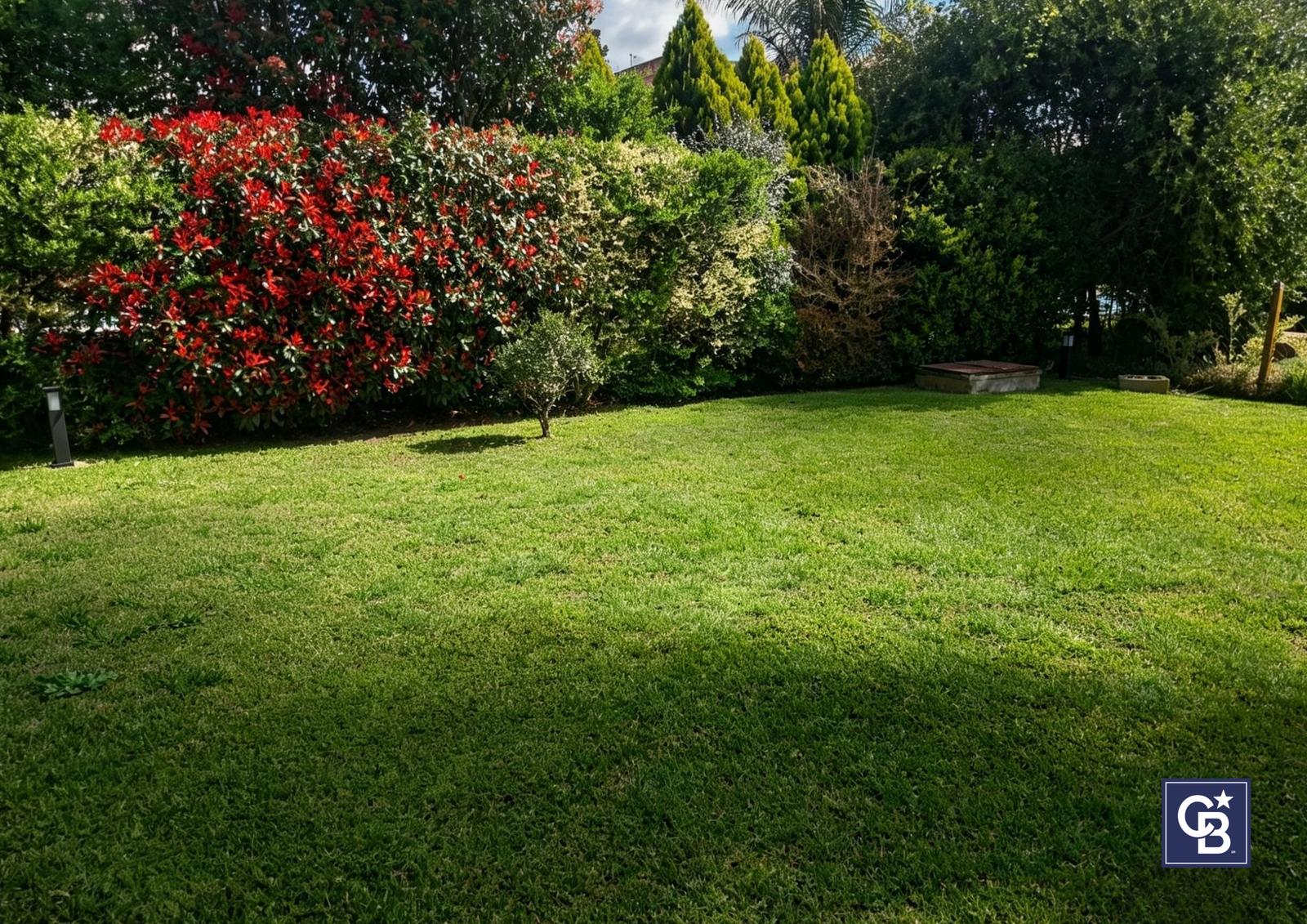 image 14