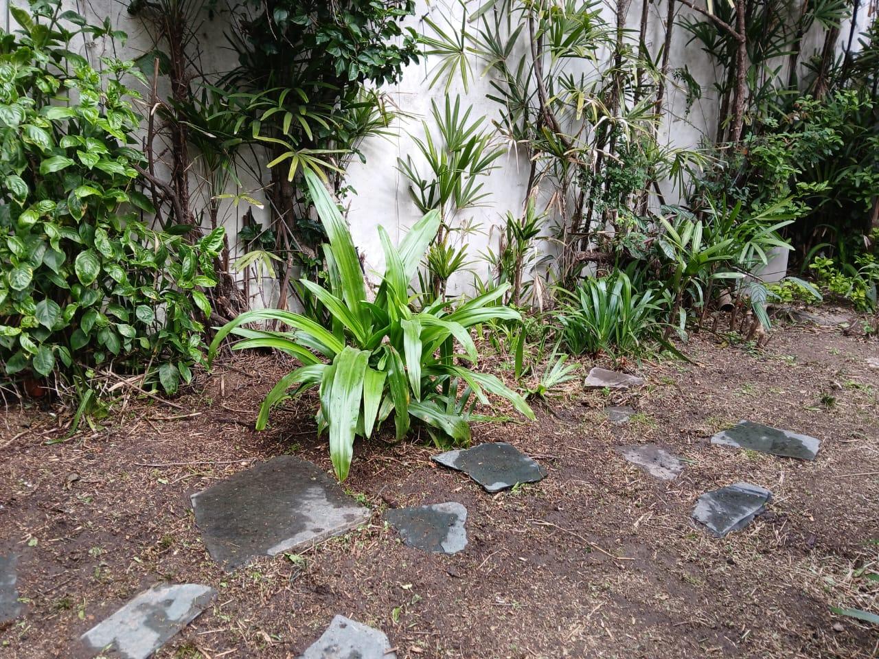 image 54