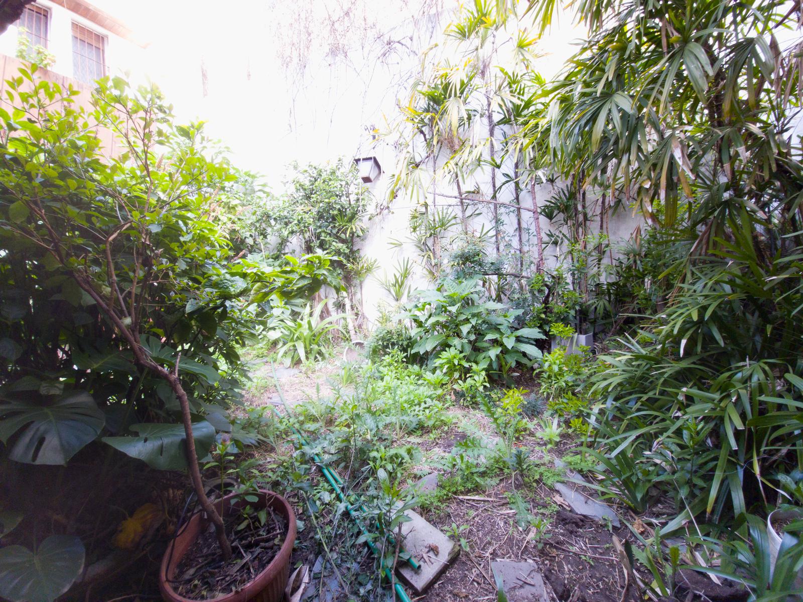image 56