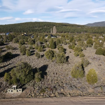 LOTE 4.512 M2 - Bº EL PEGUAL - SAN MARTIN DE LOS ANDES