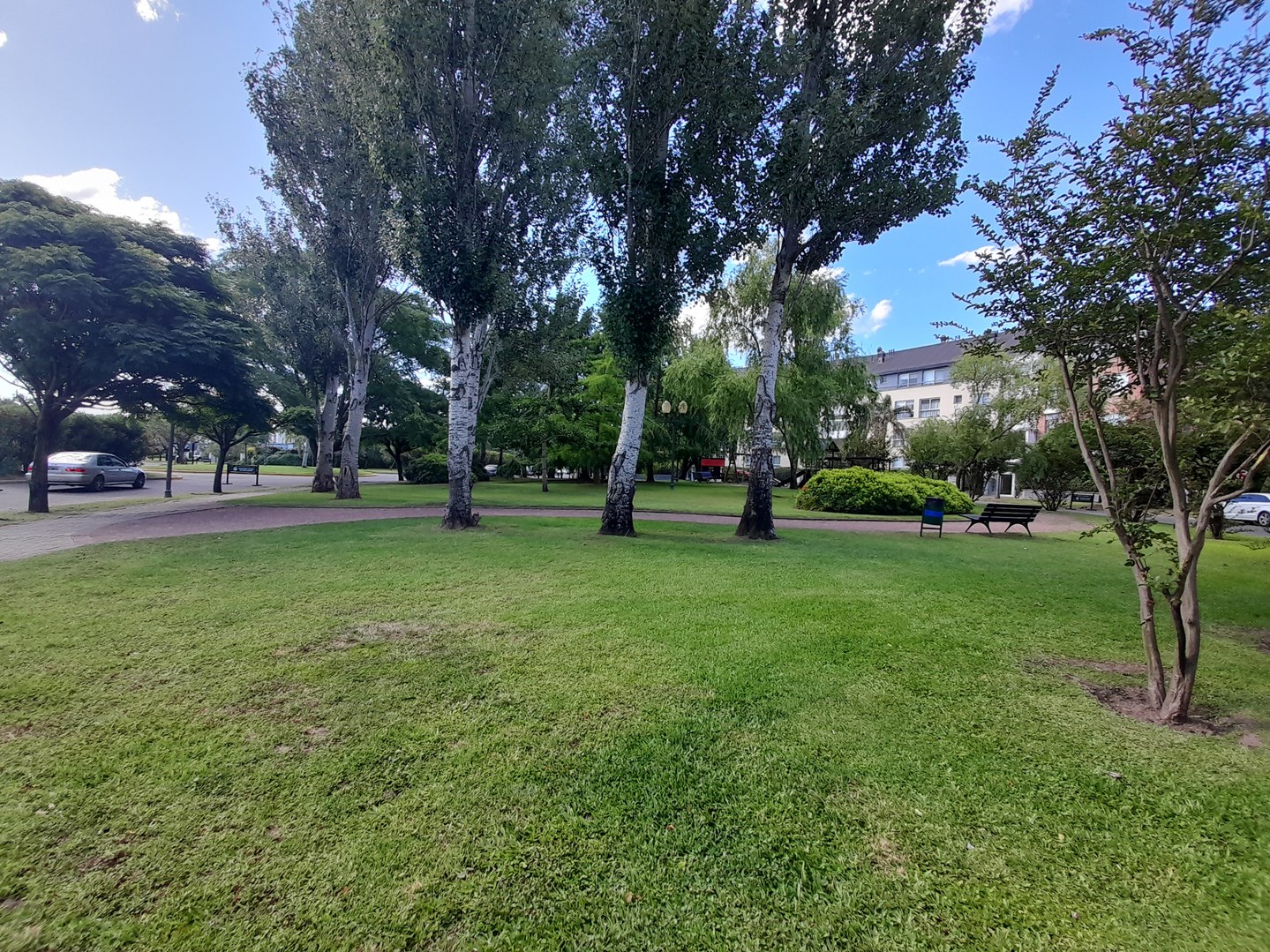 image 23