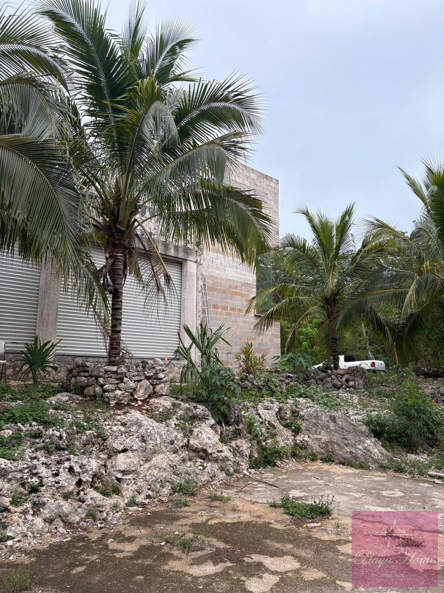 image 14