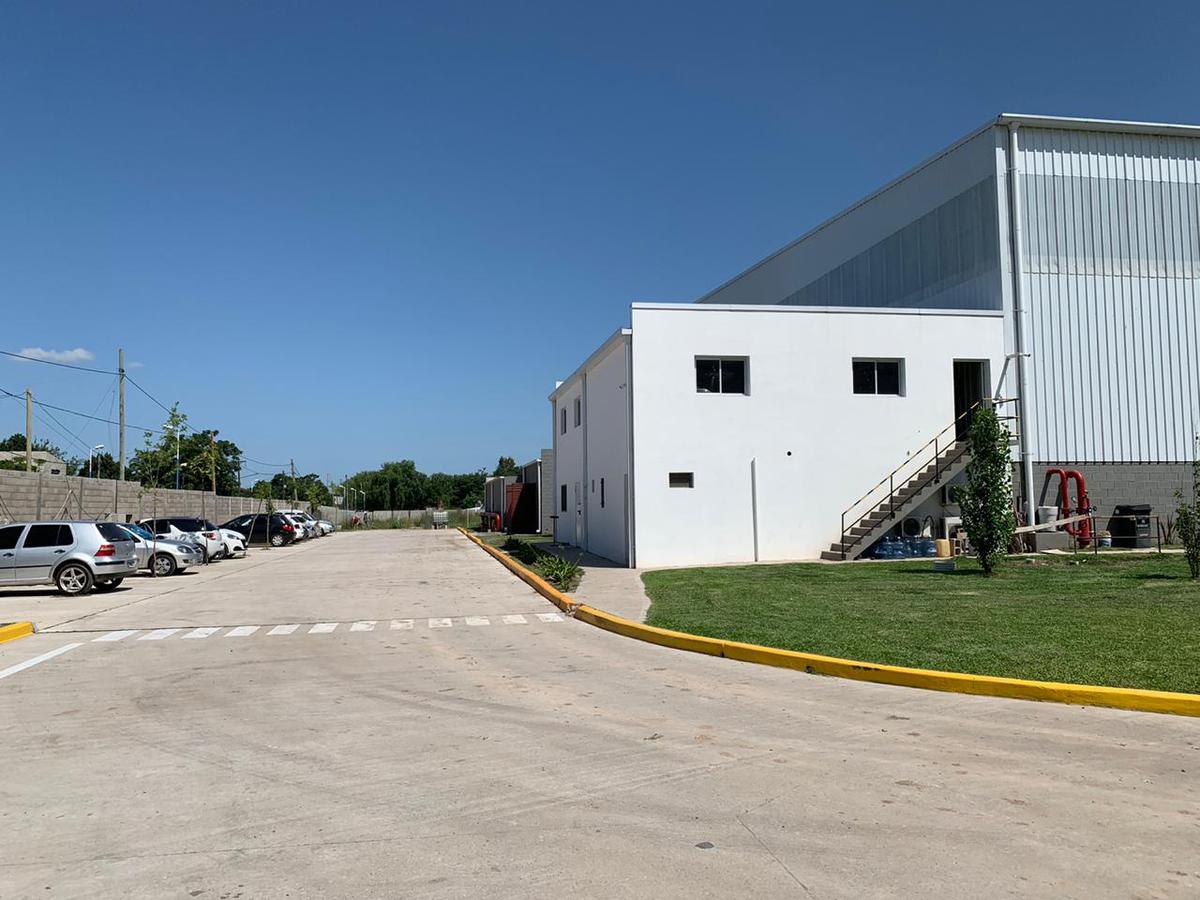 image 6