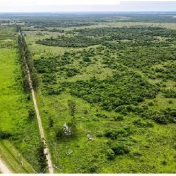 Campo 980 has. en venta con infraestructura y aptitud variada en Villa Olivari, Corrientes