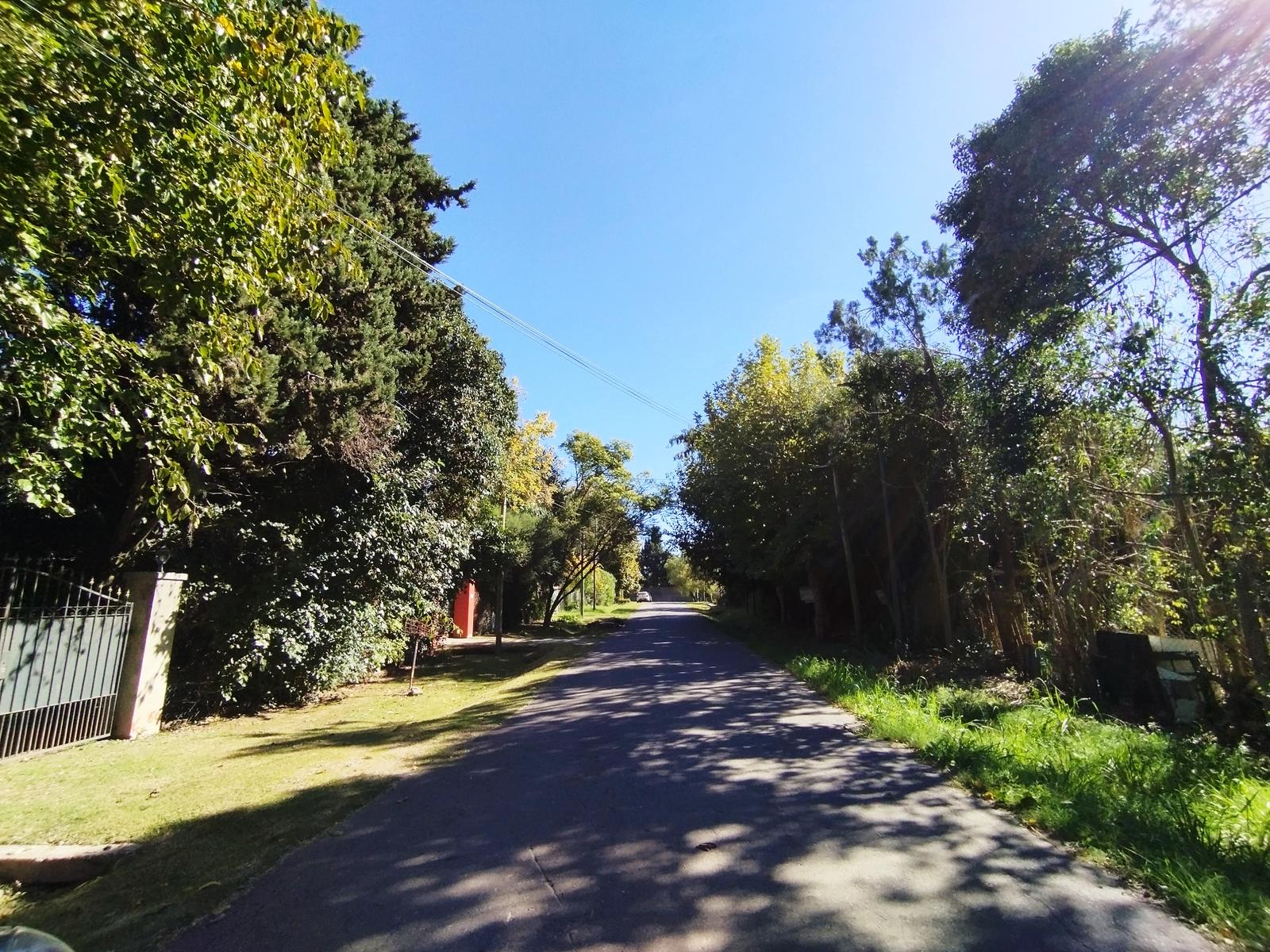 image 53