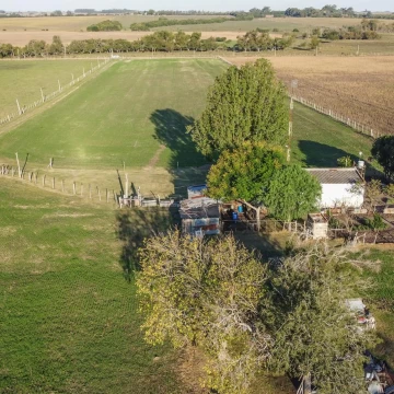 Venta Chacra 3 ha Ruta 21 KM 237