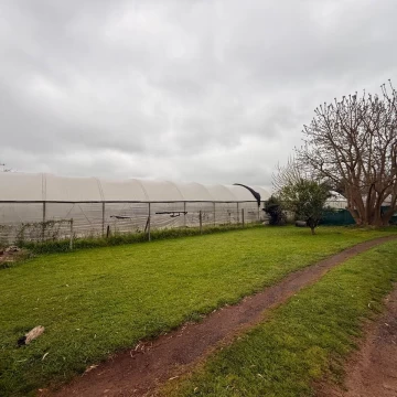 Venta terreno en loma verde