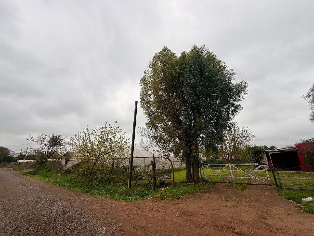 image 16