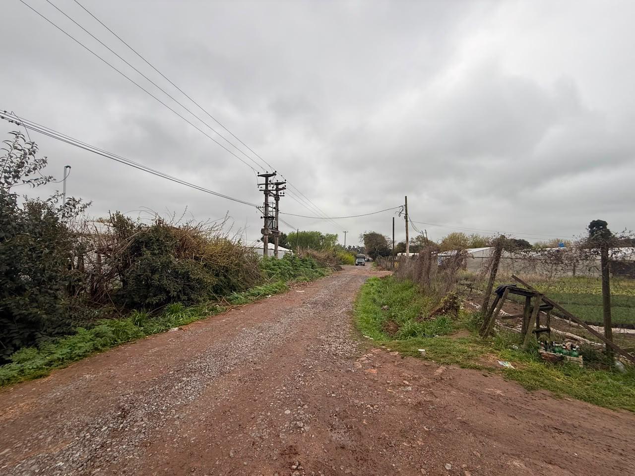 image 23