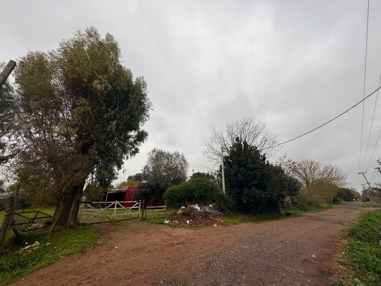 image 25