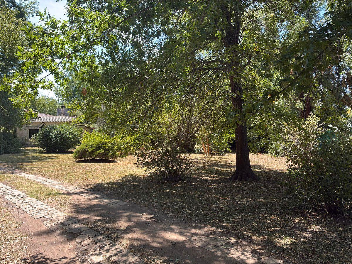image 21