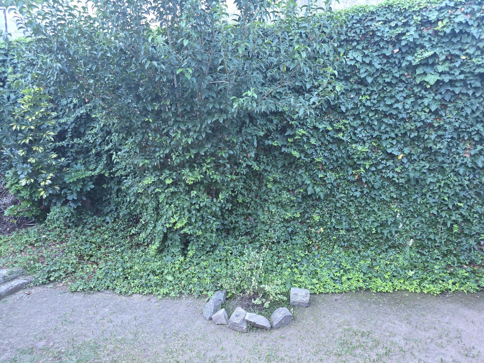 image 23