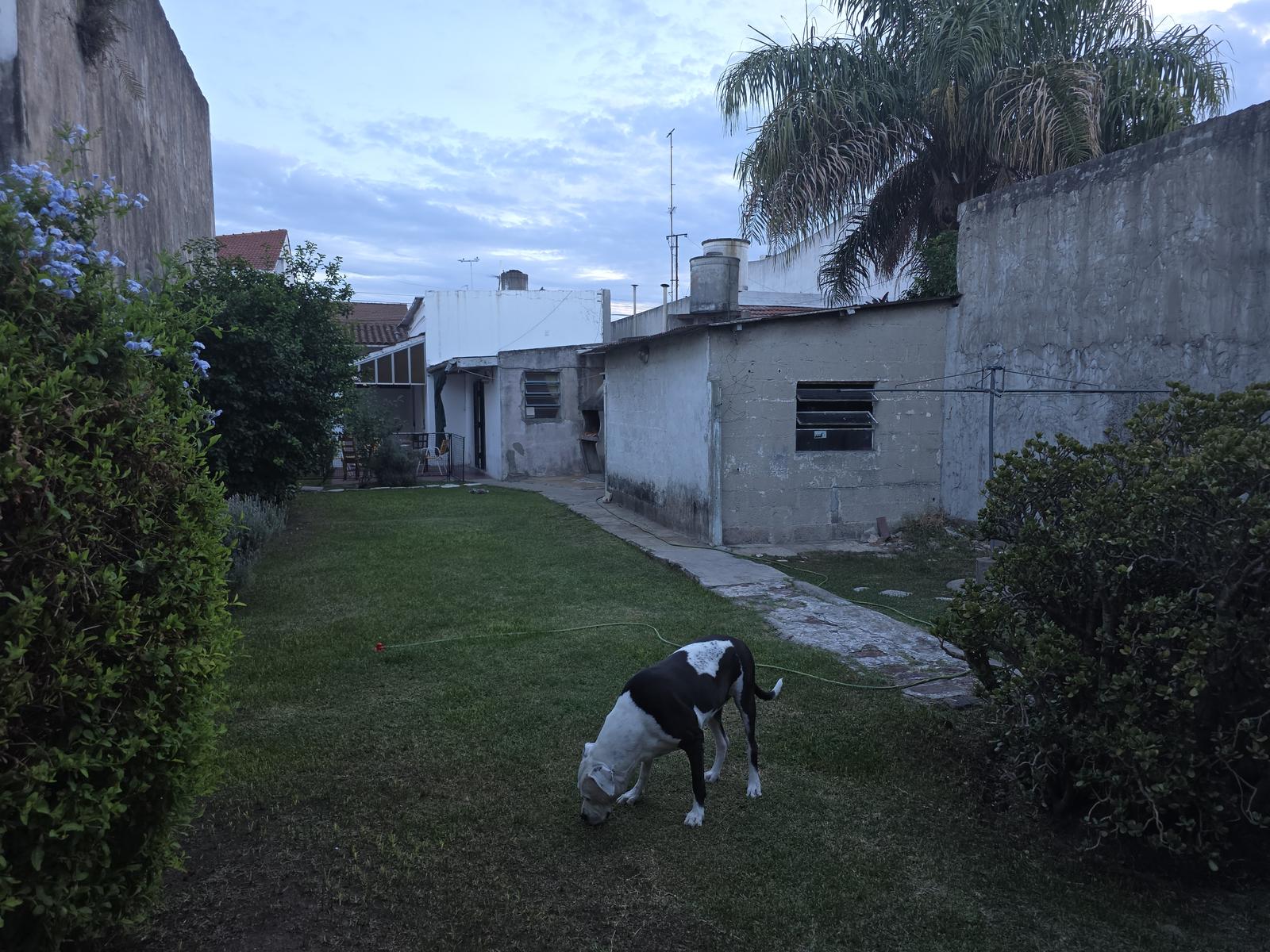 image 24
