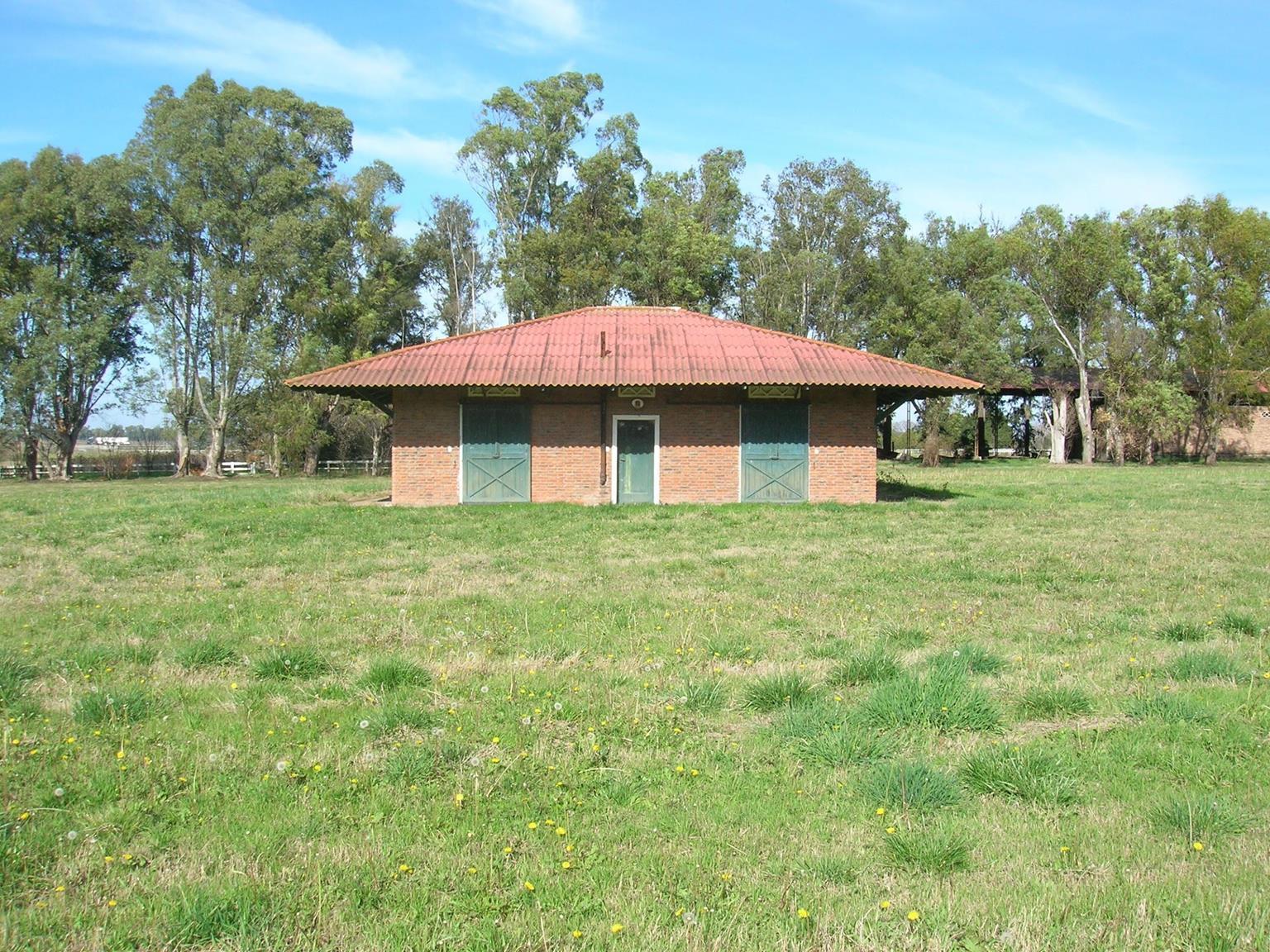 image 15