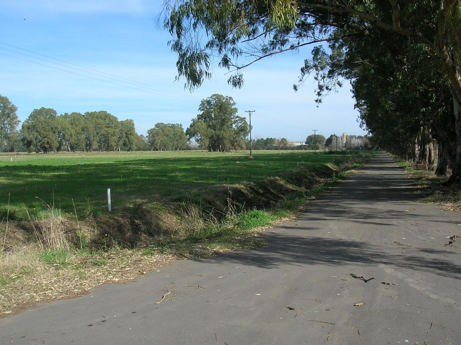 image 29