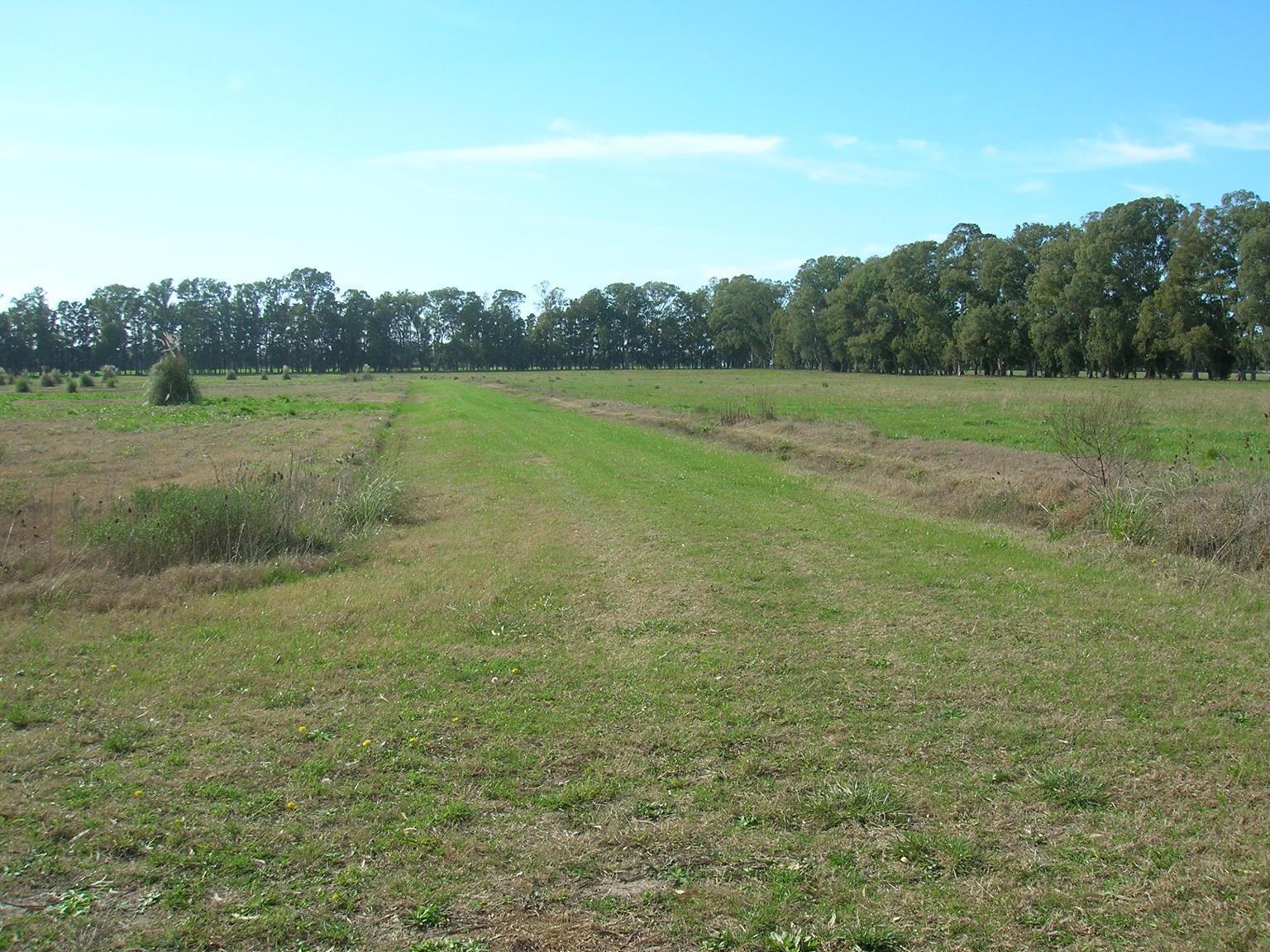image 32