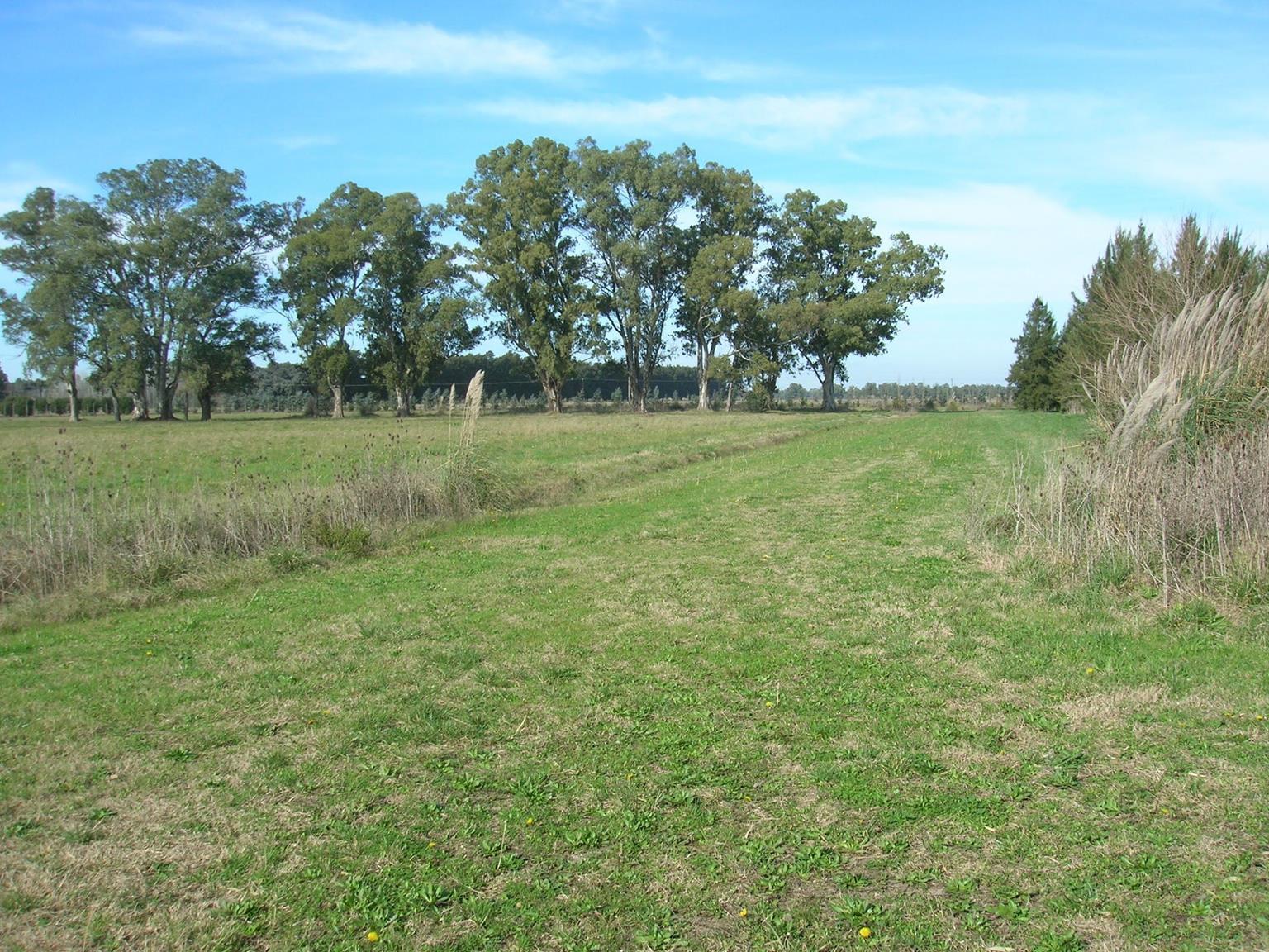 image 33