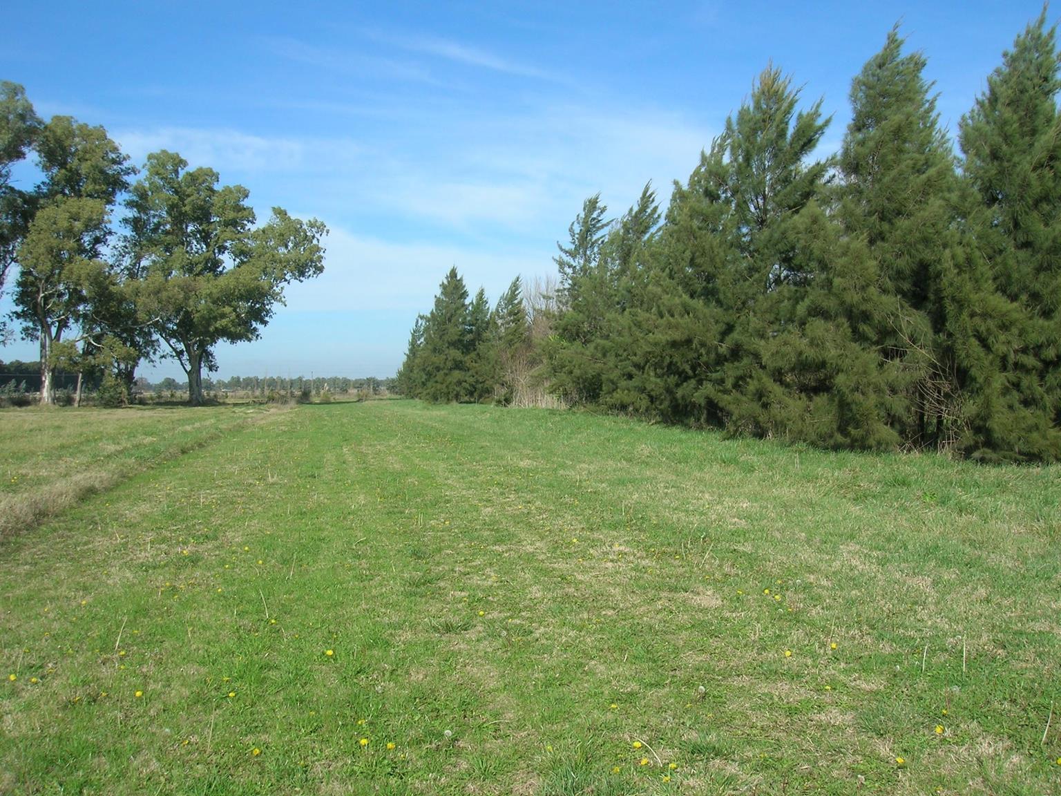 image 35