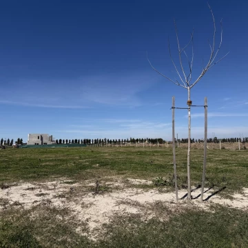 Lote en Venta en Bahia Villanueva 