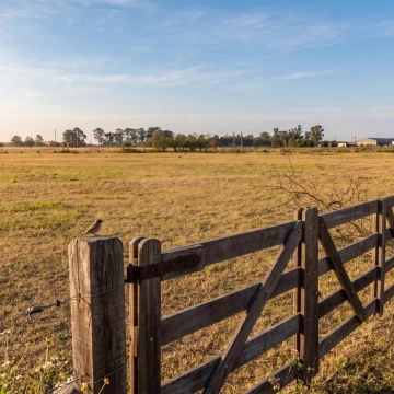 Lote de 10.000 m2, Sobre asfalto. Con escritura. A 2.000 mts de Ruta 2. Chascomús (Pcia de Bs As)