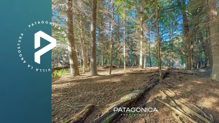 VENTA LOTE 2100 m2 APTO 2 UF , PUERTO MANZANO, VILLA LA ANGOSTURA, NEUQUEN