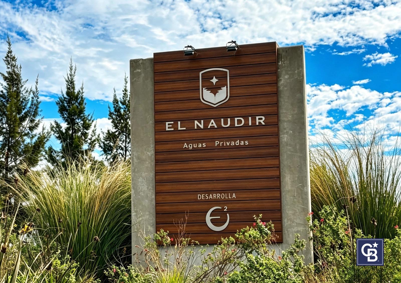 image 24