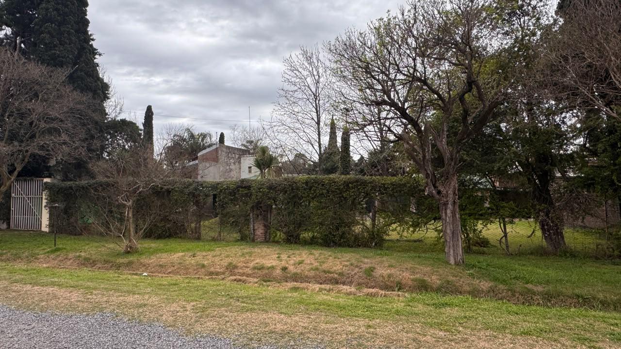 image 38