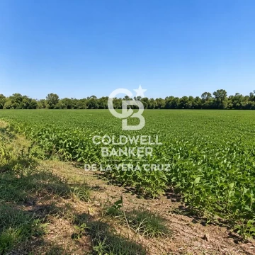 Terreno de 19.980 m² en venta – Selva de Montiel, Paraná