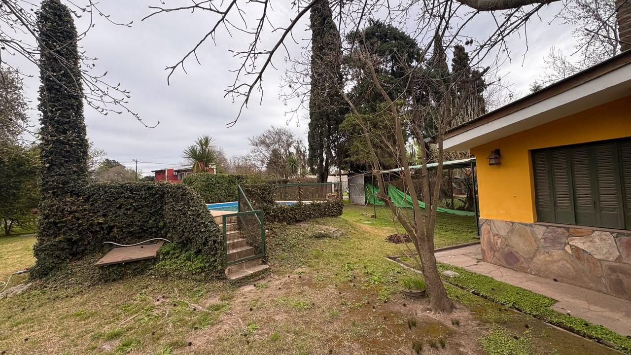 image 13