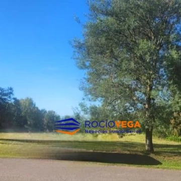 1789572343.jpg
