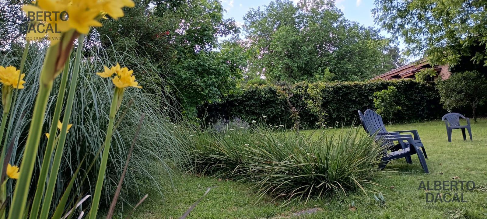 image 34