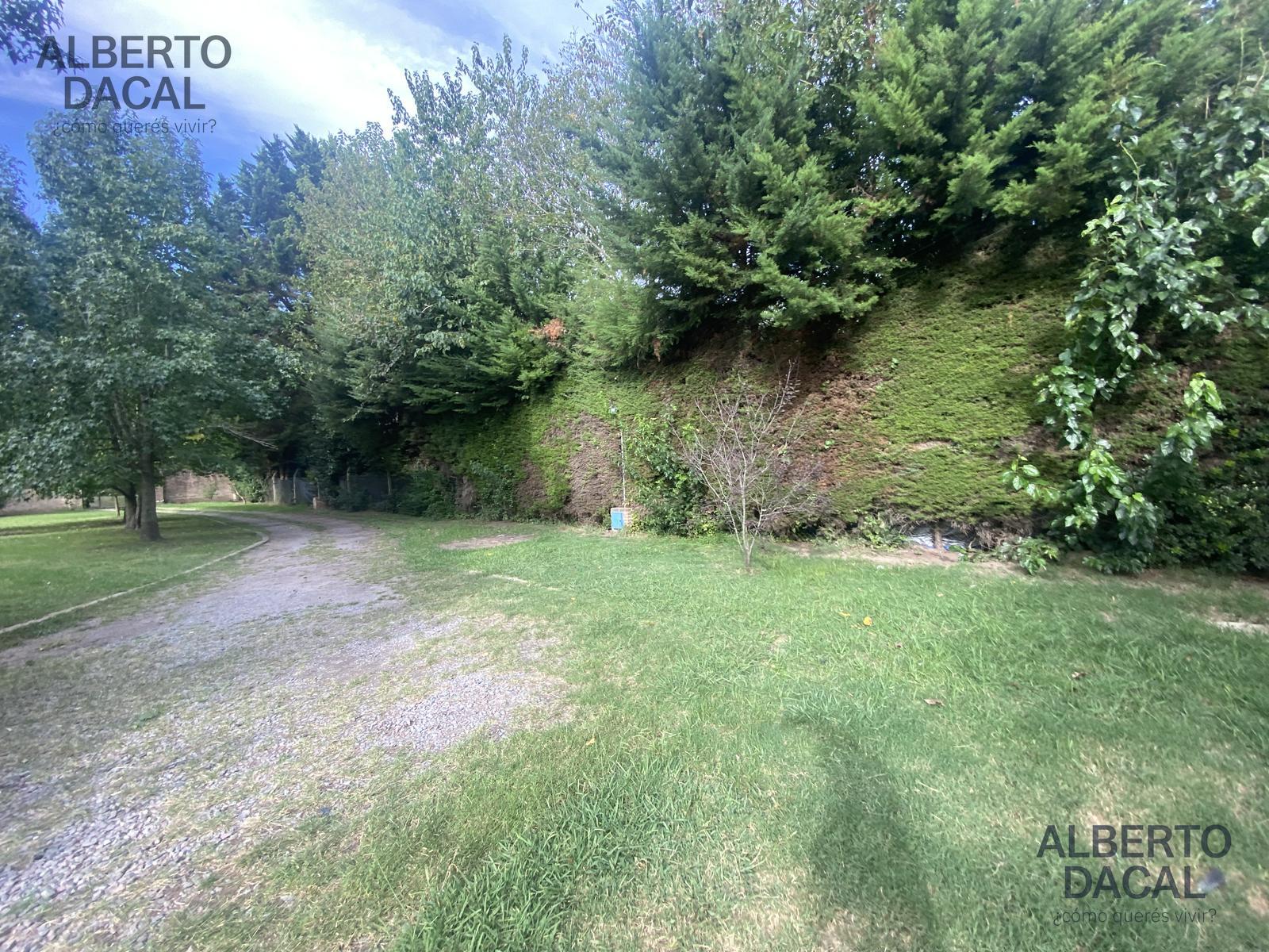 image 49