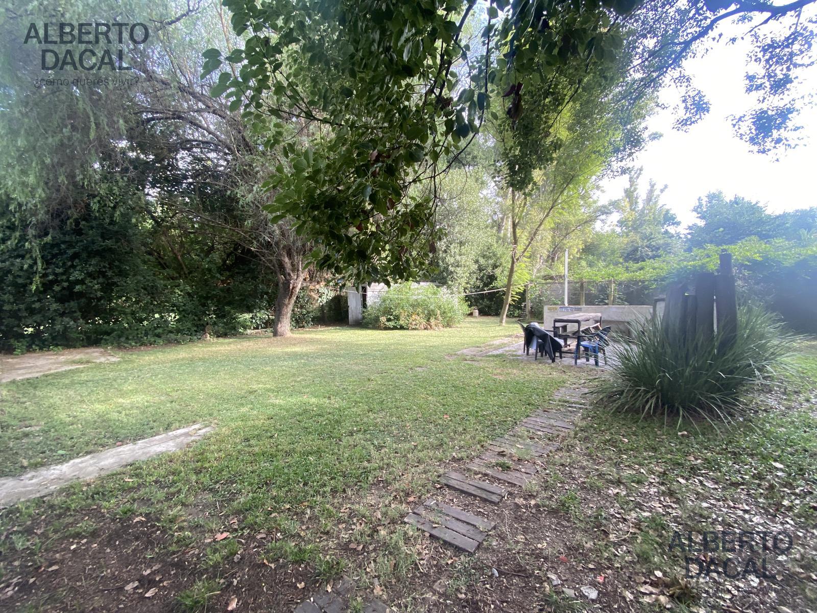 image 41