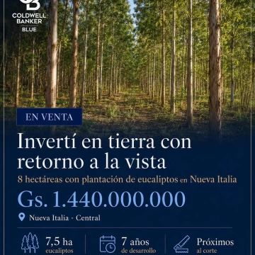 TERRENO EN VENTA: 8 Hectareas en Nueva Italia