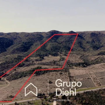Campo de 56 HA en venta - Oportunidad imperdible a 2 km de Molvento